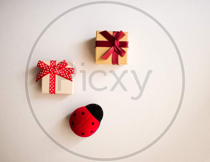 Two Gift Boxes With Tied Decorative Bow And Red Ribbon And One Red Ladybug