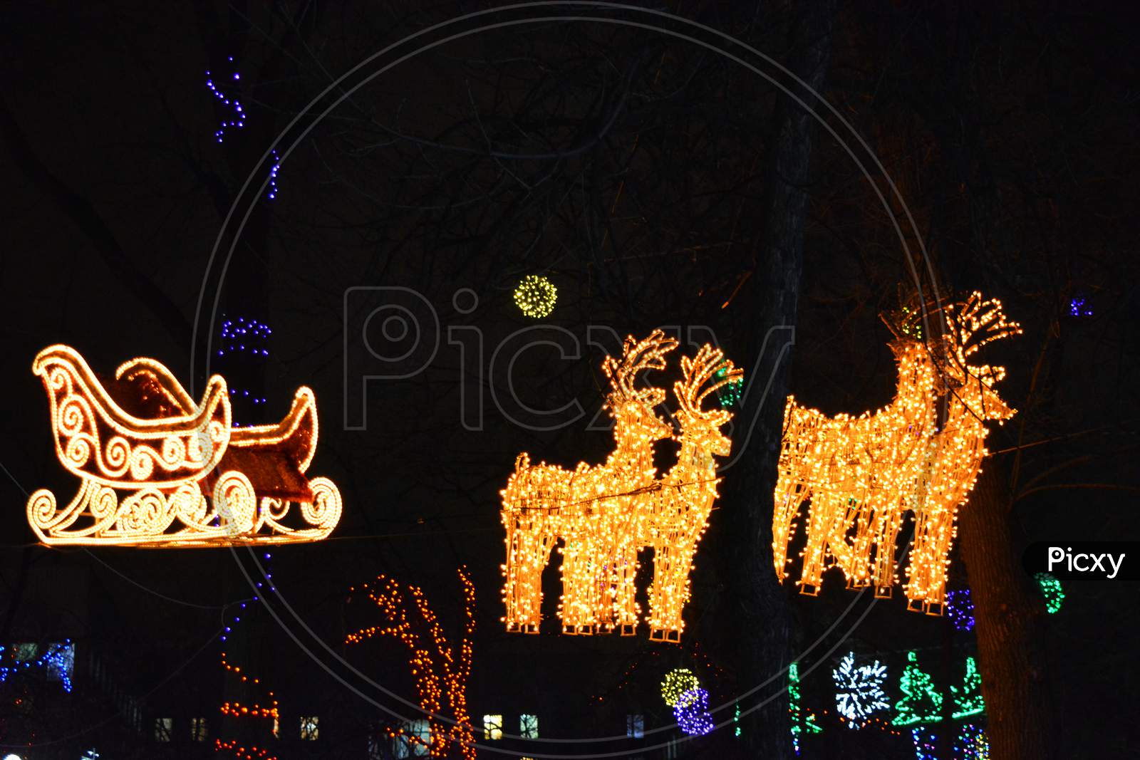 Large golden sleigh of Santa Claus with luminous deer weighing between winter trees in the city park of Dnipro, Ukraine. Bright colorful New Year and Christmas decorations made of diodes, light bulbs.