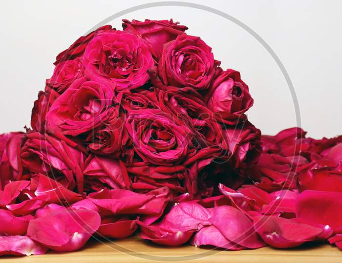 Rose Bouquet Closeup For Valentine