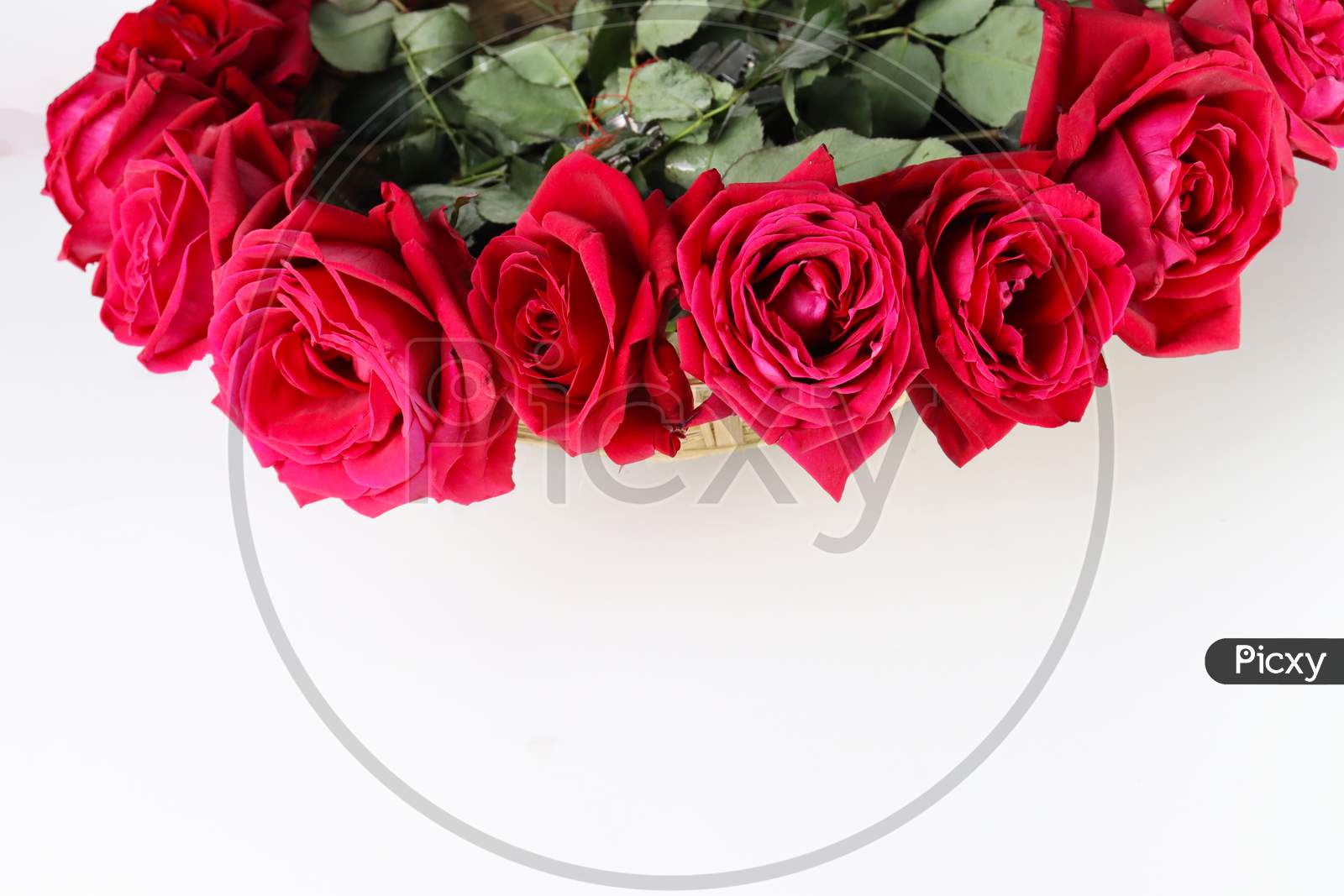 Red Rose Stock For Valentine