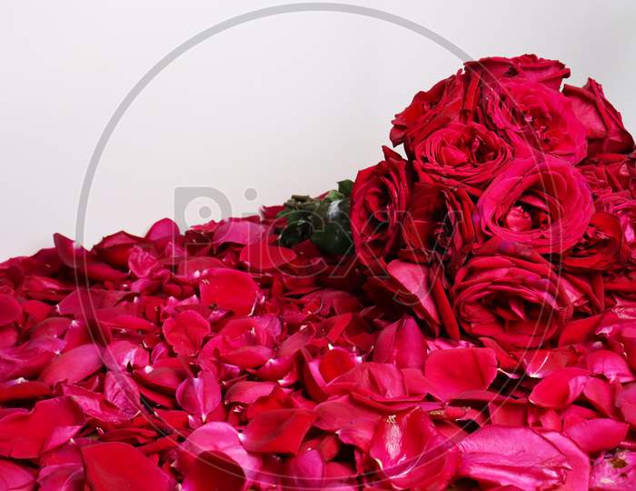 Rose Bouquet Closeup For Valentine