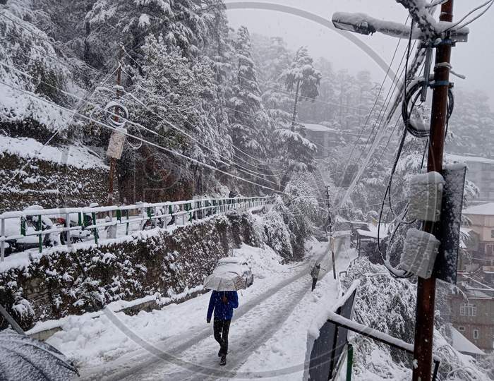 Himachal snowfall