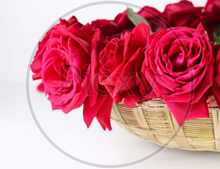Red Rose Stock For Valentine