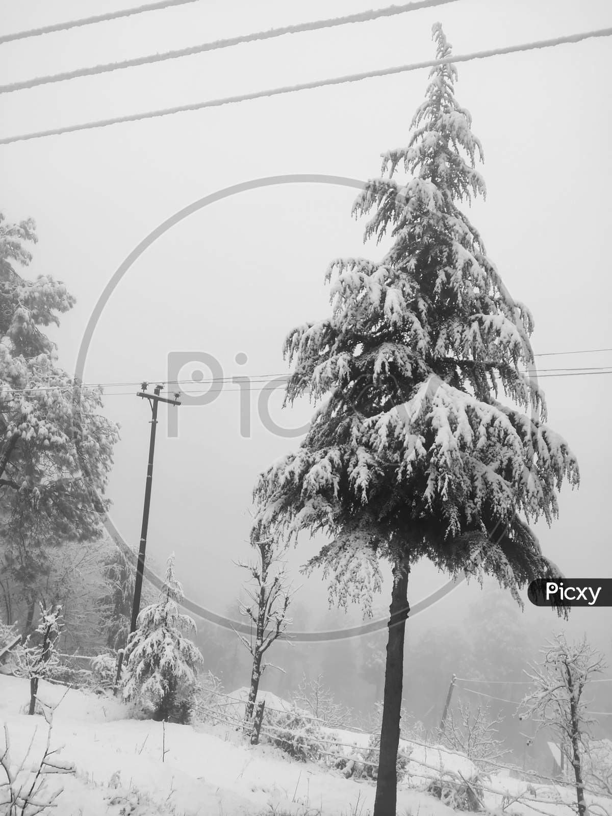 Snow Fall In 2024 In Kerala Kaela Maridel