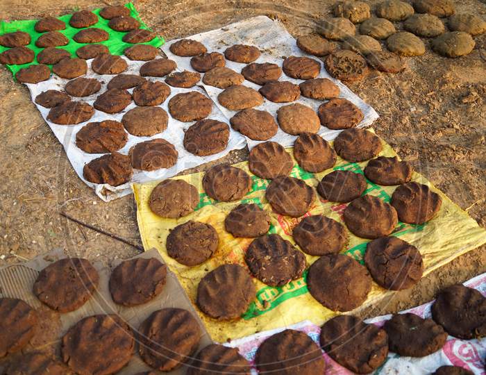 Dry Cow Dung Cakes For Hawan Kund . Dung Cake On Soil Ground Background. Dung Cake For Religious Ceremony.