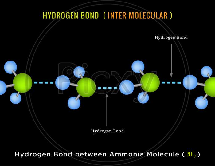 Hydrogen Bond, Inter Molecular Hydrogen Bond Between Ammonia Molecule