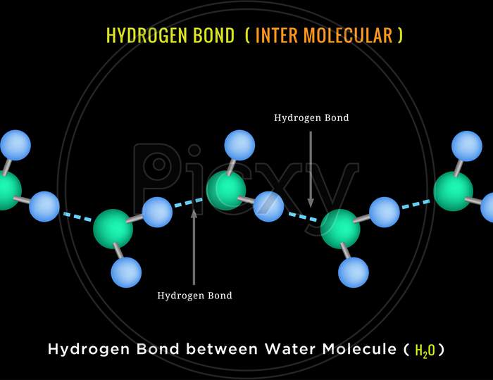 Hydrogen Bond, Inter Molecular Hydrogen Bond Between Water Molecule