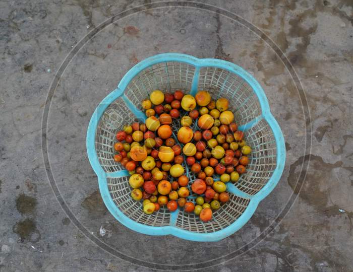 Indian Jujube Or Ber, Tropical Fruit Holding In Plastic Basket. Ber Also Known As Indian Jujube, Indian Plum Chinese Date, Chinee Apple, And Dunks.