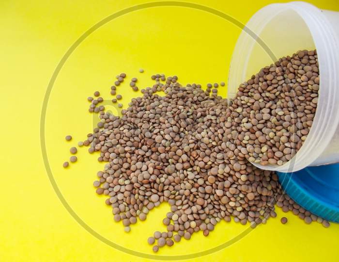 Red lentil, Lens culinaris, edible legume, edible seed falling from container on yellow background - closeup image