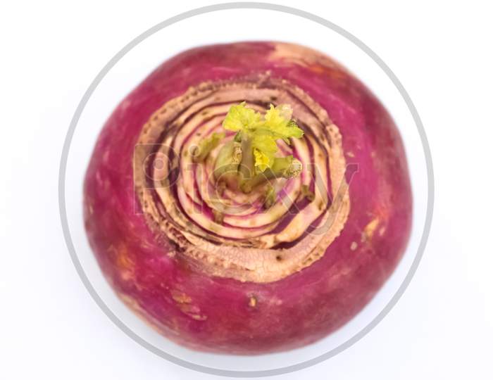 Red beet on white background
