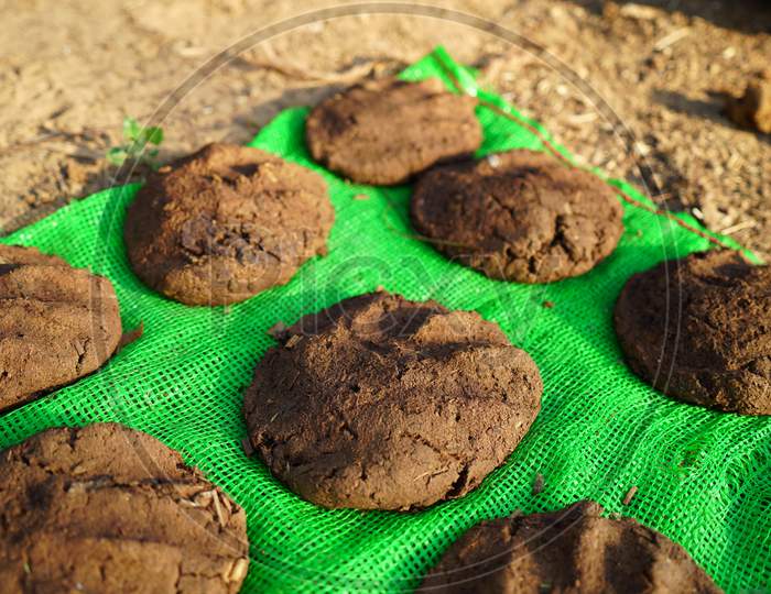 Organic Manure Cakes Closeup. Mostly Uses In Countryside India For As A Kitchen Fuel.