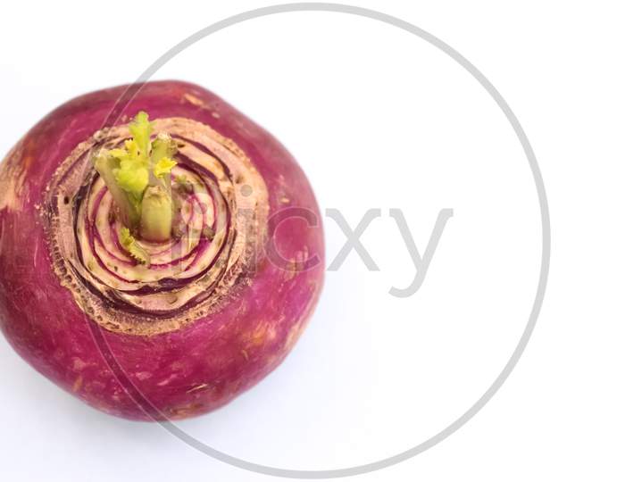 Red beet on white background