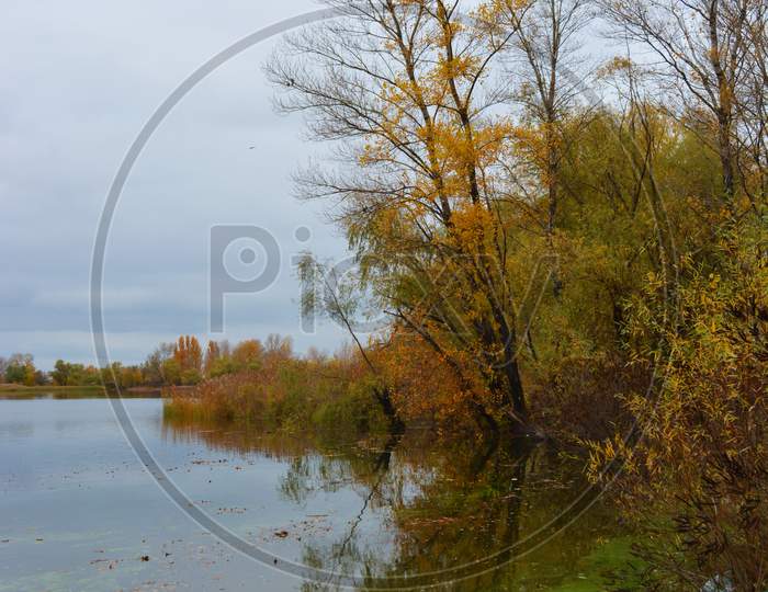 The beautiful bank of the Dnipro river with yellow, green, red trees, bushes with a pleasant autumn nature of the city of Kamianske, Ukraine.