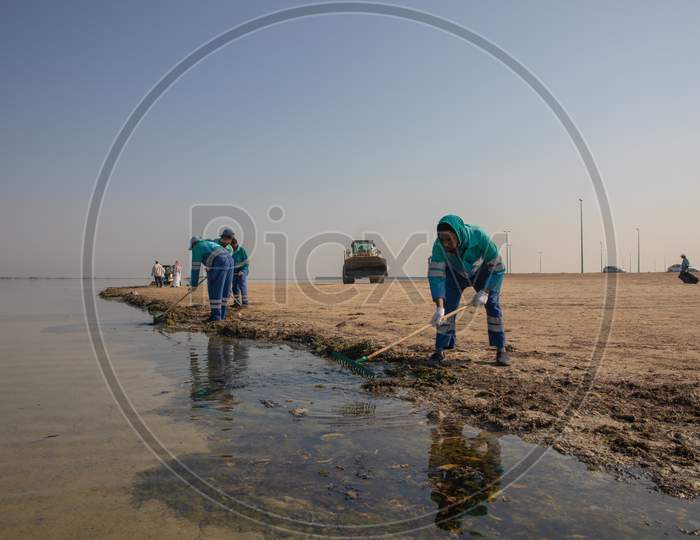 Men Are Cleaning The Beach From Pollutants