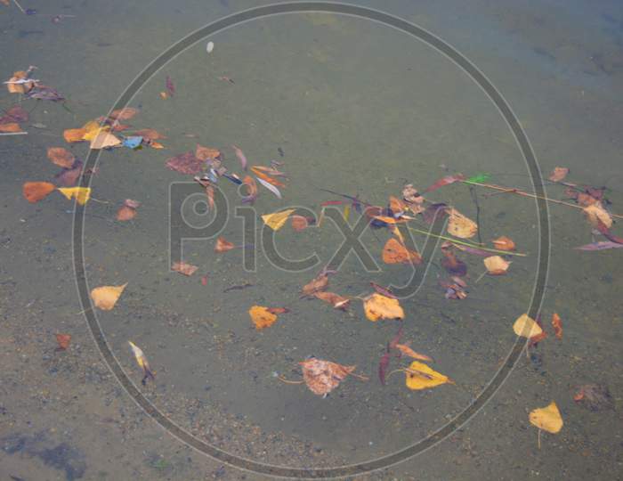 Image Of Dry Yellow Autumn Leaves Are Carried Away By The Course Of The