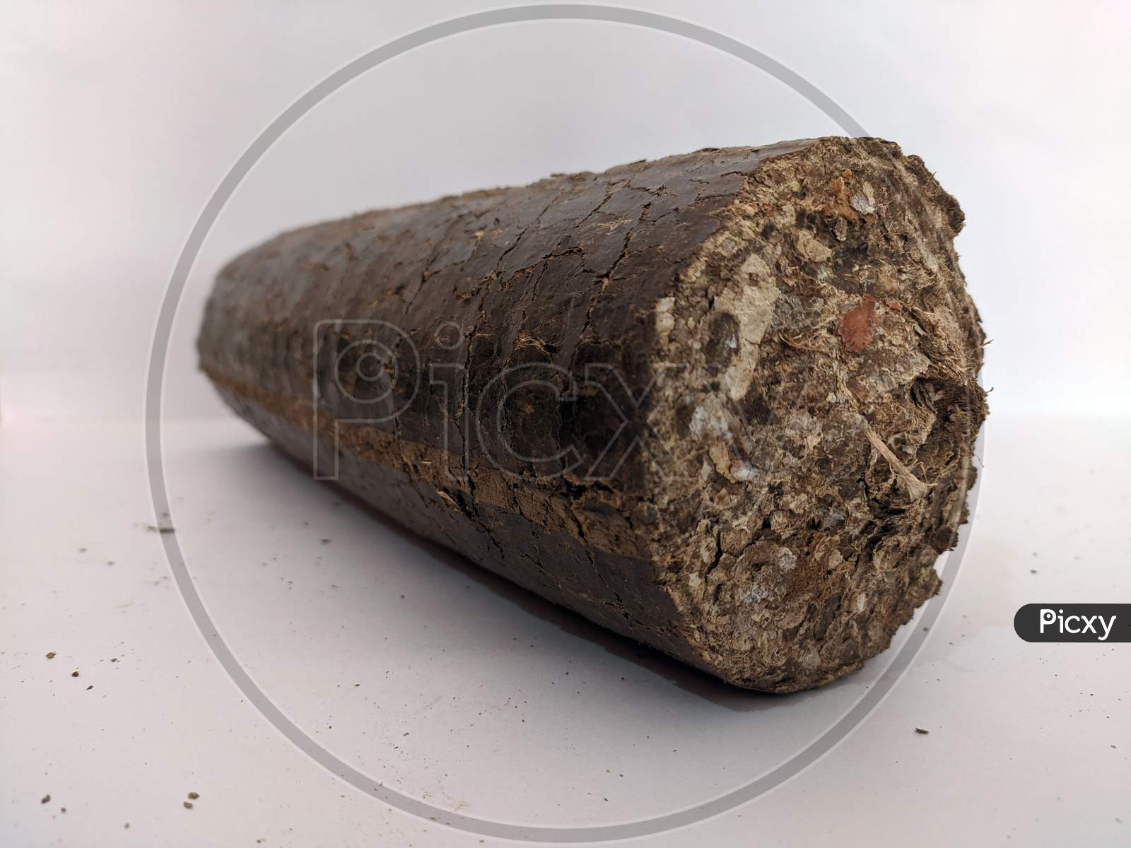 Pieces of brown coal isolated on white background.