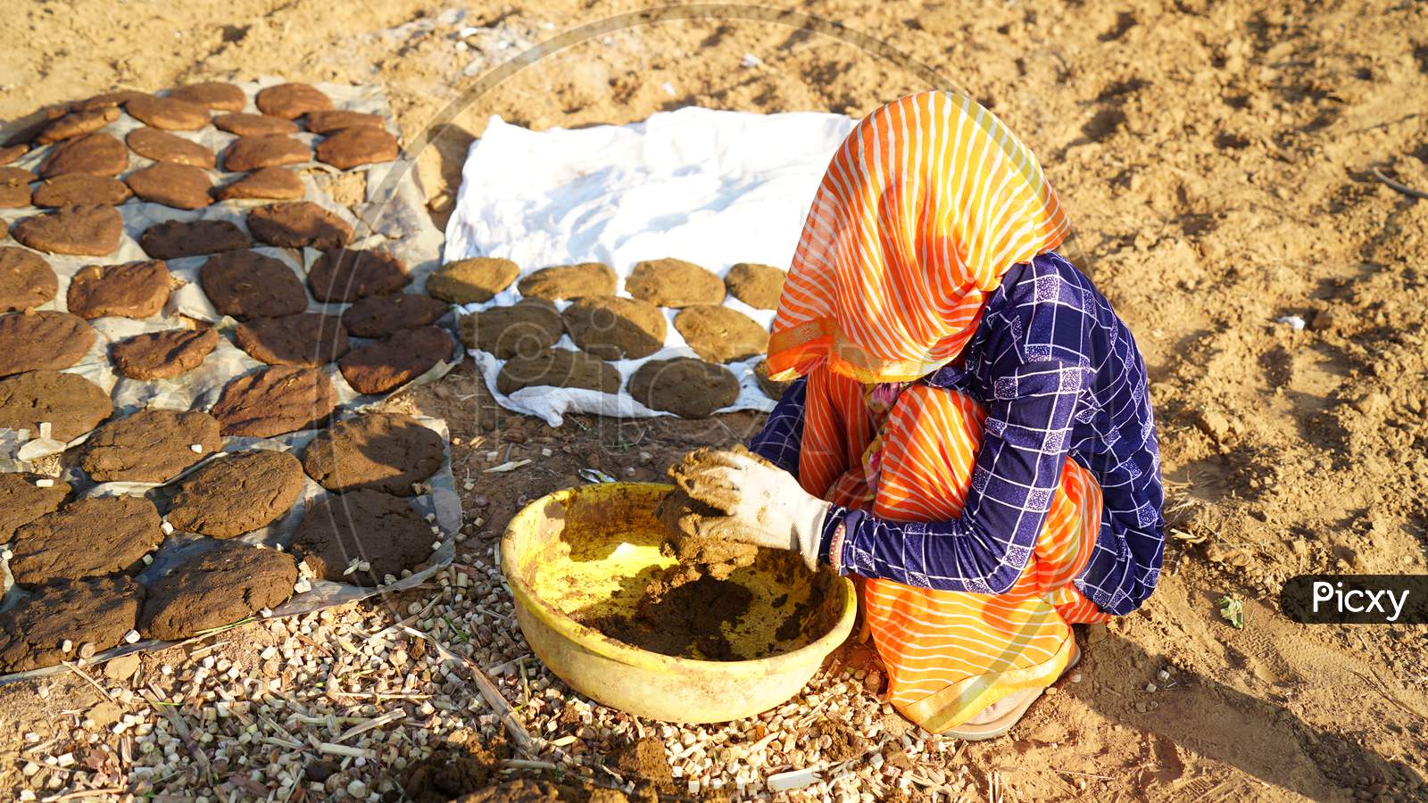 Indian Woman Preparing Cow Dung And Making Dung Cakes For Sacred Festivals. Religious Culture To Make Cow Dung Cakes On Holi Festival In Hindu Religion.