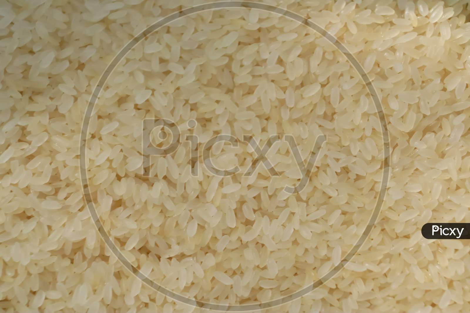 These are the rice