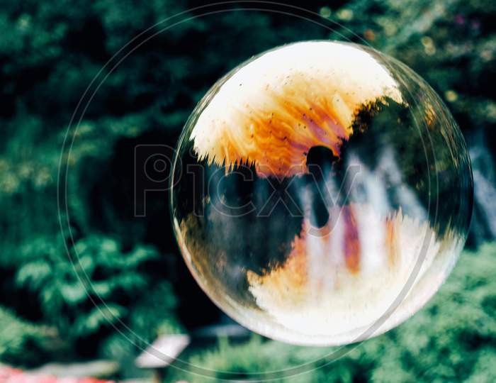 What a lovely bubble