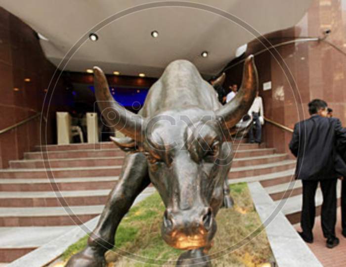 Stock market Bull