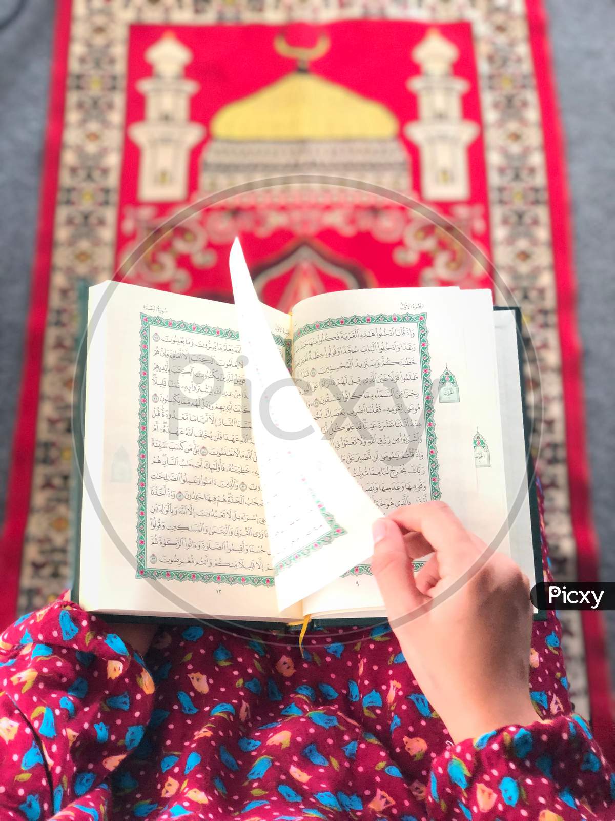 A,Woman,Reading,The,Quran,On,A,Prayer,Rug