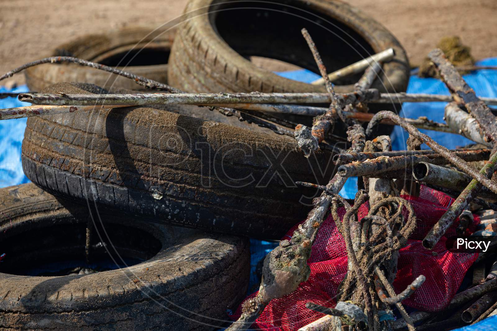 Decayed,Pipes,And,Rubber,Tires,With,Aquatic,Plants,On,It