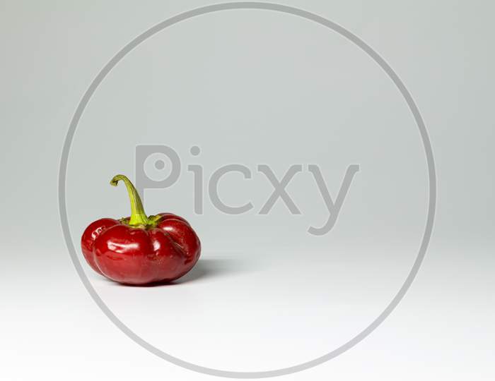 Small Red Chili Pepper On White Background. Free Space To Write. Spicy Food