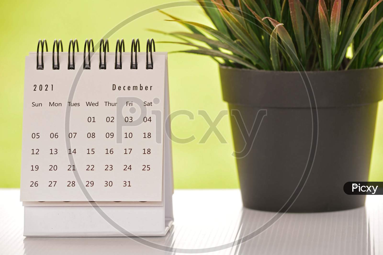 White December 2021 Calendar With Green Backgrounds And Potted Plant. 2021 New Year Concept