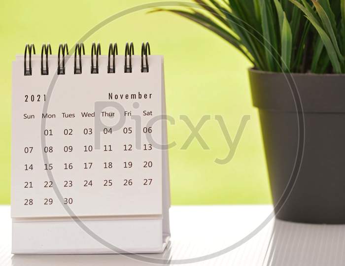 White November 2021 Calendar With Green Backgrounds And Potted Plant. 2021 New Year Concept
