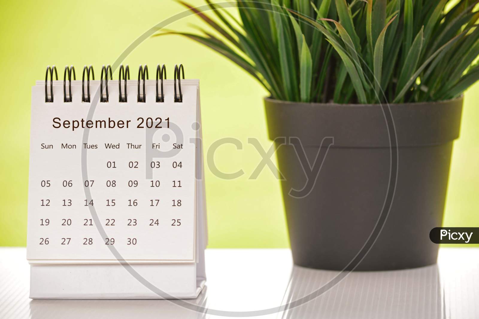 White September 2021 Calendar With Green Backgrounds And Potted Plant. 2021 New Year Concept