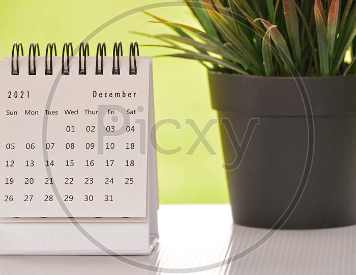 White December 2021 Calendar With Green Backgrounds And Potted Plant. 2021 New Year Concept