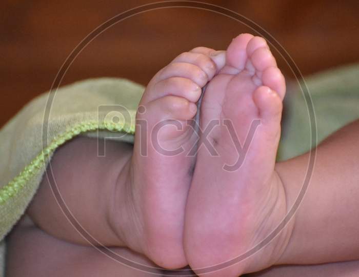 Close Up Baby Feet