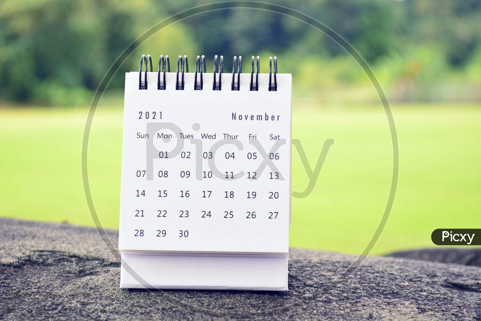 November 2021 White Calendar With Green Blurred Background