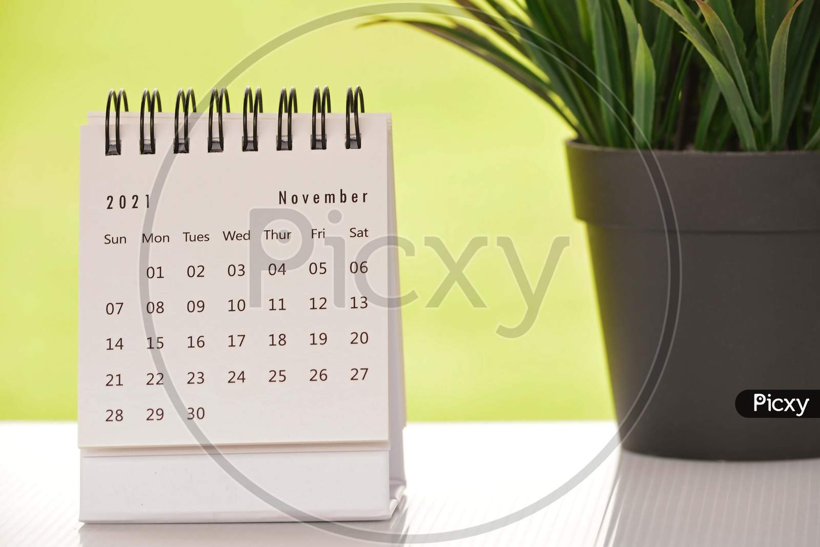 White November 2021 Calendar With Green Backgrounds And Potted Plant. 2021 New Year Concept