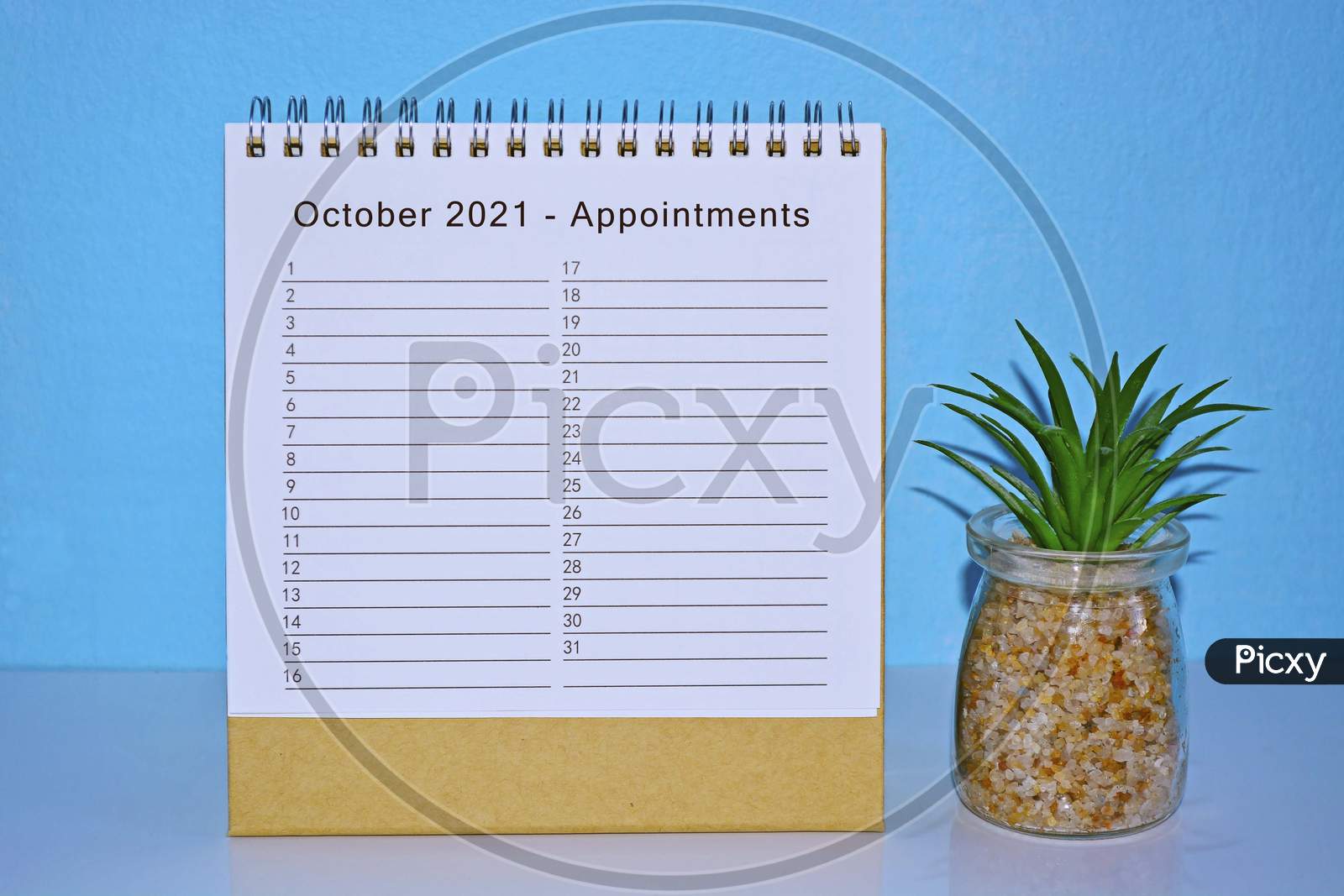 October 2021 Appointment Calendar With Blue Background And Potted Plant