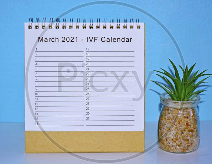 March 2021 Ivf Calendar And Appointment With Blue Background And Potted Plant