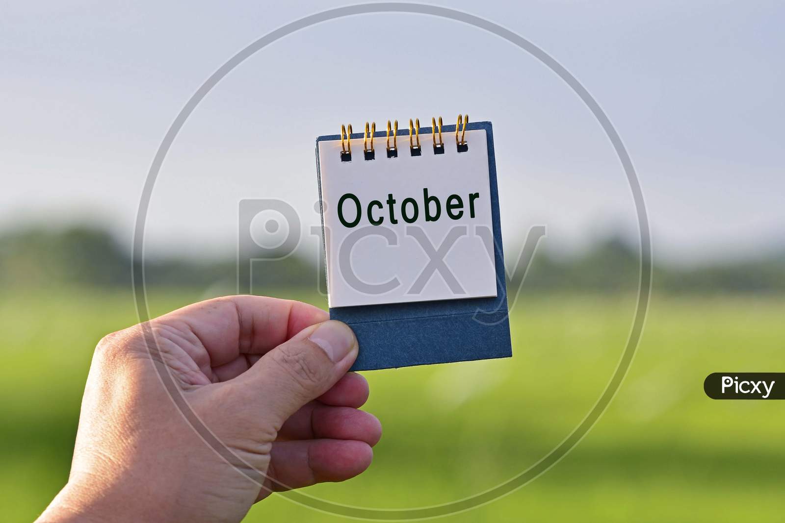 Hands Holding A Notepad With October Text Written And Blurred Green Background