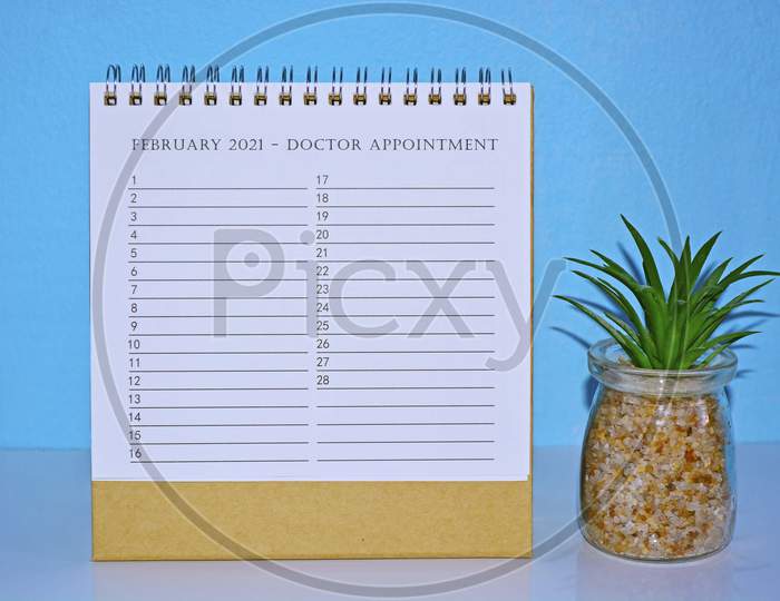 February 2021 Doctor Appointment Calendar With Blue Background And Potted Plant.