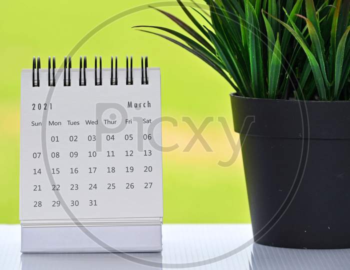 White March 2021 Calendar With Green Backgrounds And Potted Plant. 2021 New Year Concept