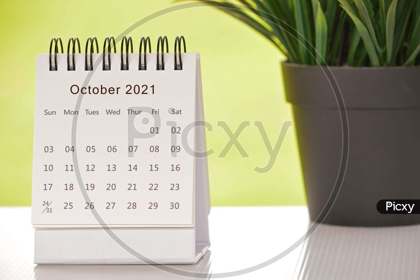 White October 2021 Calendar With Green Backgrounds And Potted Plant. 2021 New Year Concept