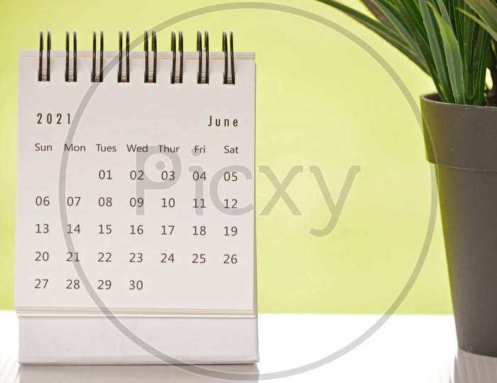 White June 2021 Calendar With Green Backgrounds And Potted Plant. 2021 New Year Concept
