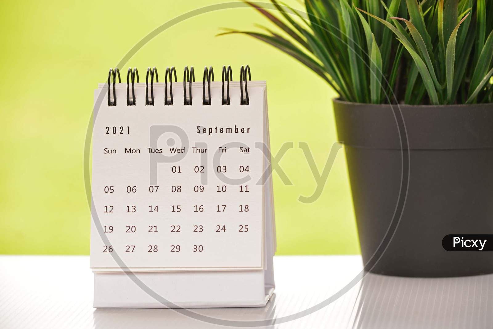White September 2021 Calendar With Green Backgrounds And Potted Plant. 2021 New Year Concept