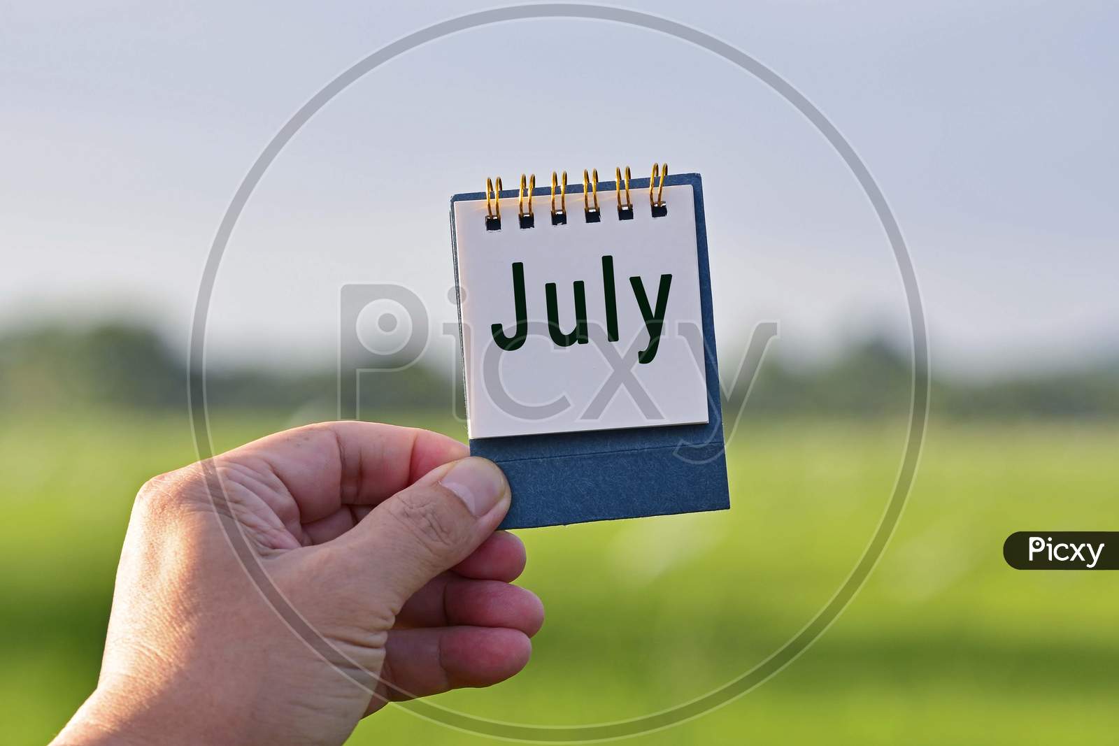 Hands Holding A Notepad With July Text Written And Blurred Green Background