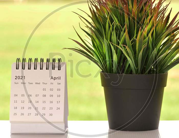 White April 2021 Calendar With Green Backgrounds And Potted Plant. 2021 New Year Concept