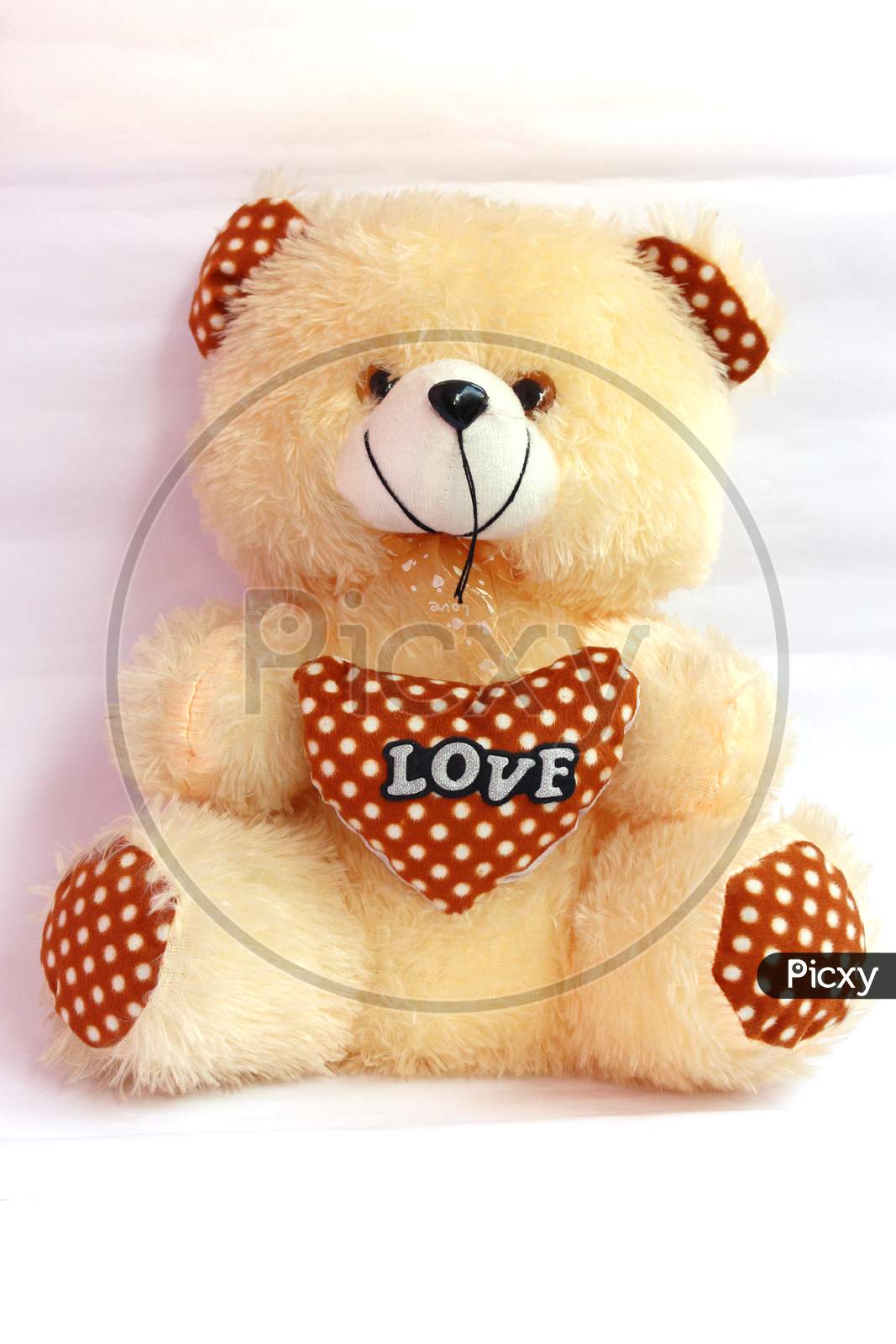 Lovely Brown Teddy Bear With Gold Heart On White Background