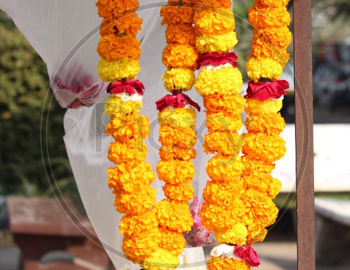 Flower Garland Weave (For God, Angel And Fairy Of India) Hang On Iron Rail On Flower Shop