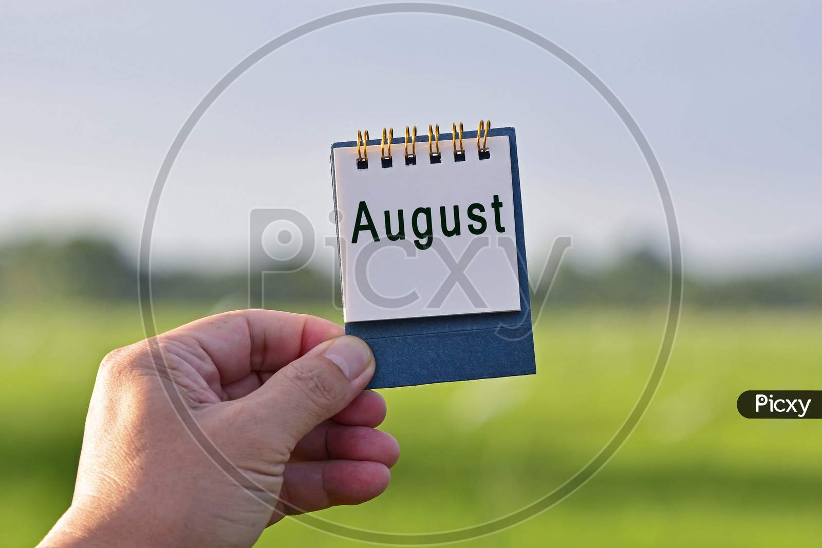 Hands Holding A Notepad With August Text Written And Blurred Green Background