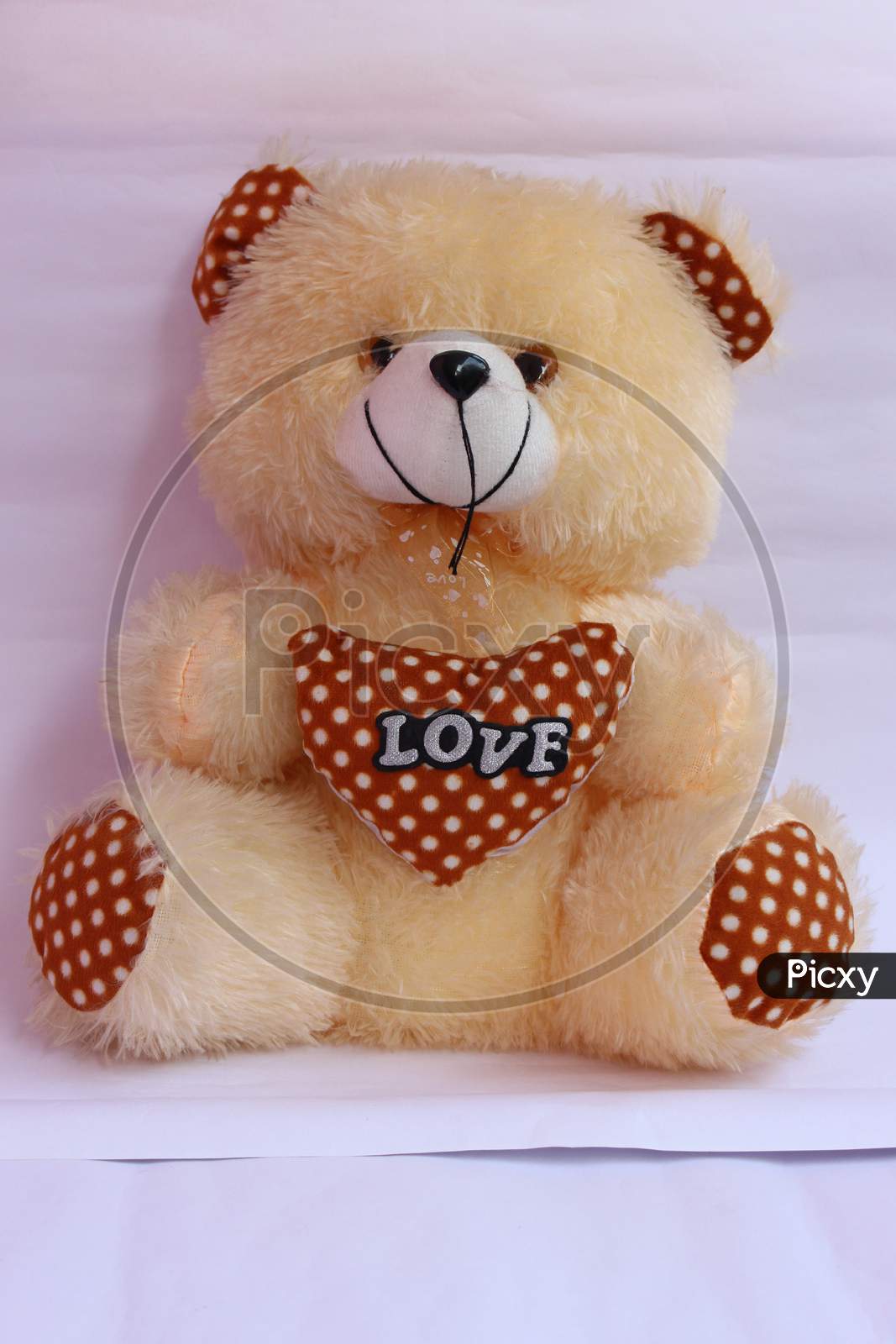 Lovely Brown Teddy Bear With Gold Heart On White Background