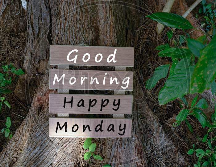 Text On Wooden Frame Laying On Tree Trump - Good Morning Happy Monday