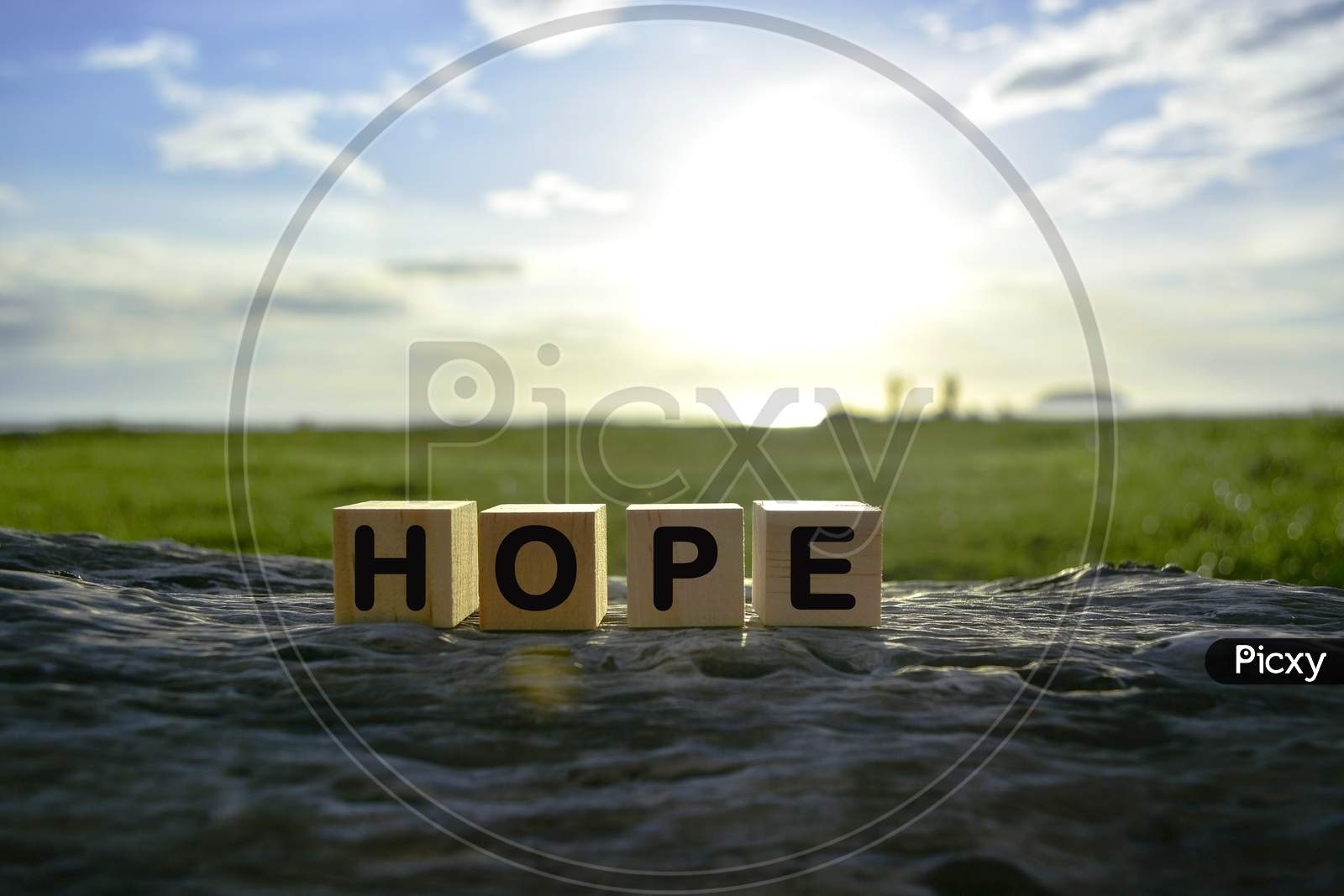 Hope Text On Wooden Cube Block On Old Tree Stump With Blurred Background Of Green Grass Ocean And Sunset